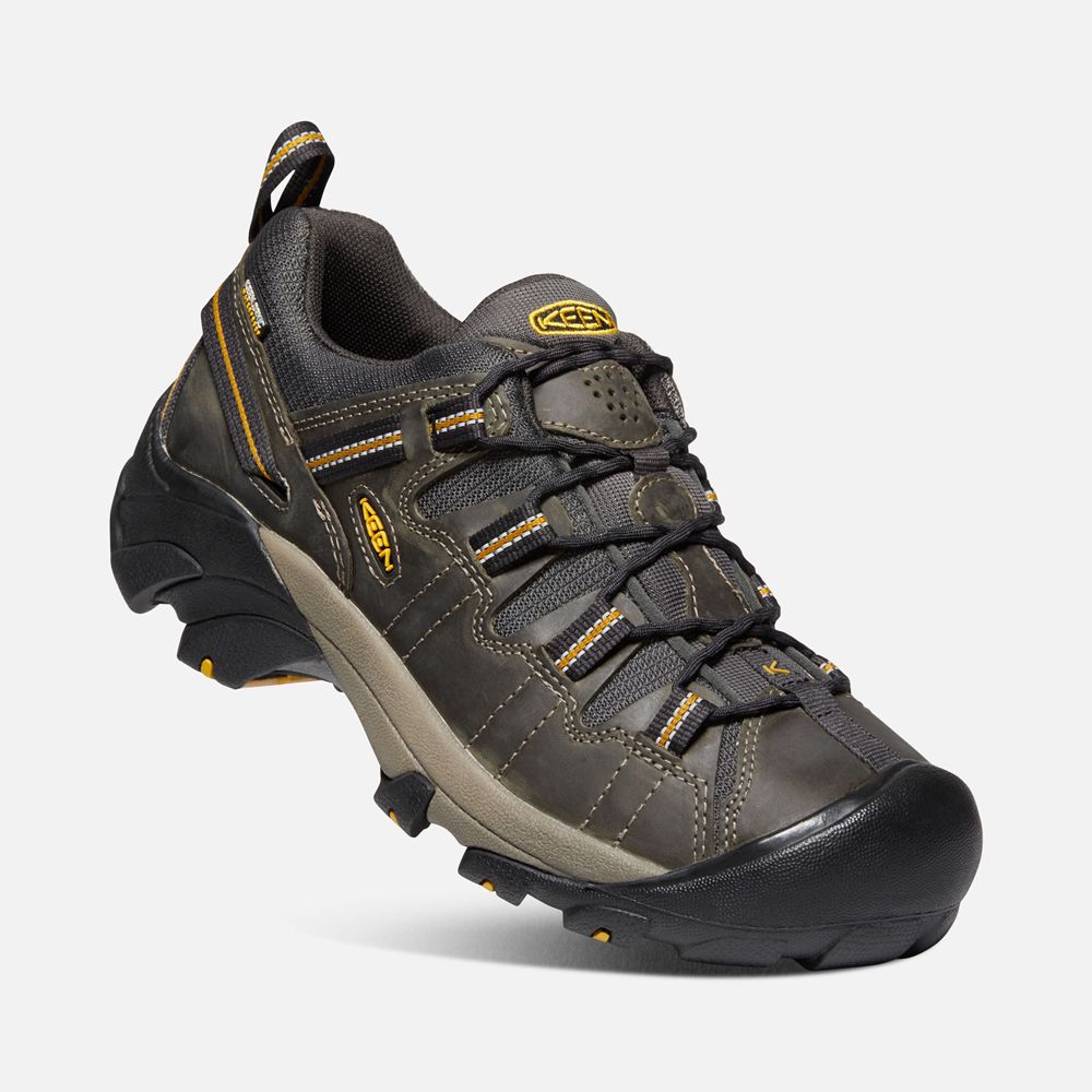 Zapatos de Seguridad Keen Mexico Negros Marrom - Hombre Targhee Ii Waterproof - TA3608275